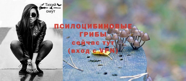 ALPHA PVP Вяземский