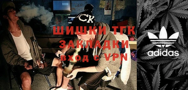 ГАЛЛЮЦИНОГЕННЫЕ ГРИБЫ Вязники