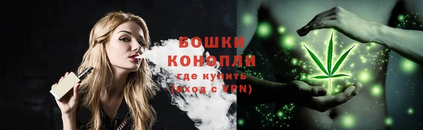 ГАЛЛЮЦИНОГЕННЫЕ ГРИБЫ Вязники