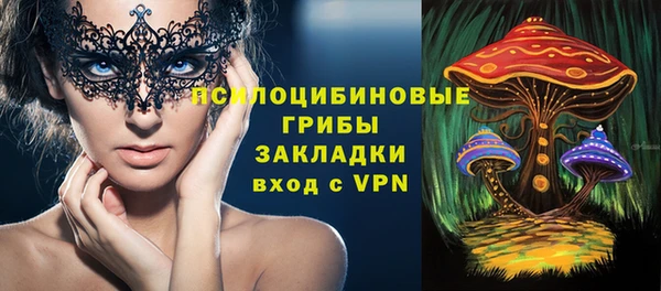 ГАЛЛЮЦИНОГЕННЫЕ ГРИБЫ Вязники