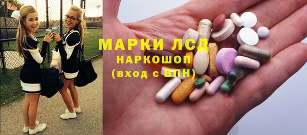ГАЛЛЮЦИНОГЕННЫЕ ГРИБЫ Вязники