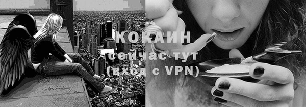 ГАЛЛЮЦИНОГЕННЫЕ ГРИБЫ Вязники