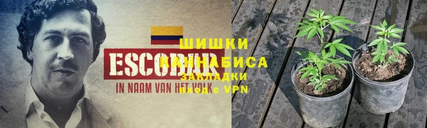 ALPHA PVP Вяземский