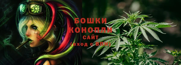 ГАЛЛЮЦИНОГЕННЫЕ ГРИБЫ Вязники